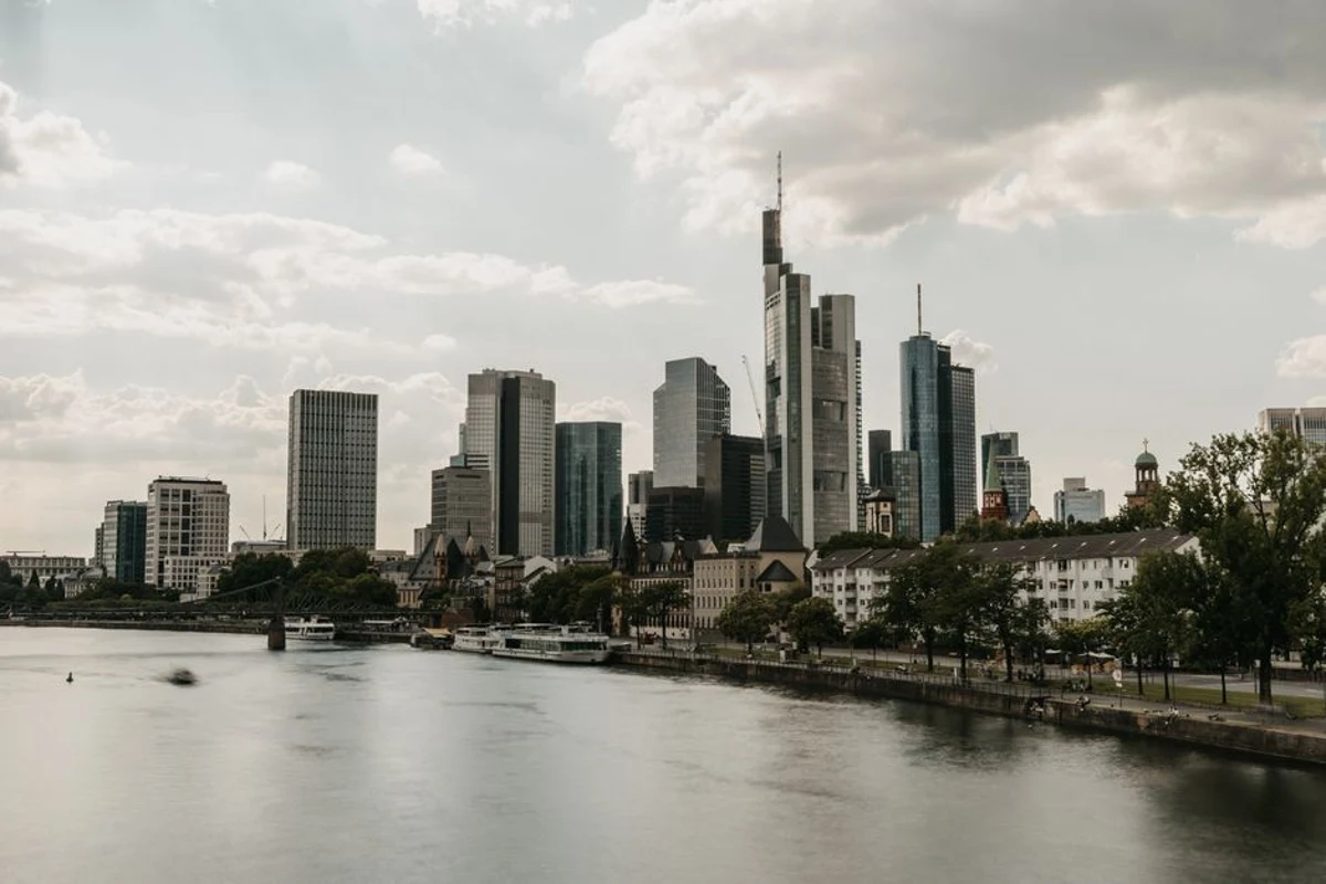 ITA-Strategie: Hunde in der Kabine als Gewinnbringer?